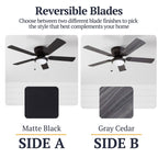 Ventilateur de plafond intérieur traditionnel Prominence Home Benton 52 avec éclairage LED et chaînettes