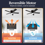 Ventilateur de plafond intérieur traditionnel Prominence Home Benton 52 avec éclairage LED et chaînettes