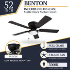 Ventilateur de plafond intérieur traditionnel Prominence Home Benton 52 avec éclairage LED et chaînettes