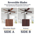 Ventilateur de plafond intérieur traditionnel Prominence Home Benton 52 avec éclairage LED et chaînettes