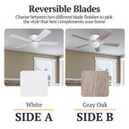 Ventilateur de plafond intérieur traditionnel Prominence Home Benton 52 avec éclairage LED et chaînettes