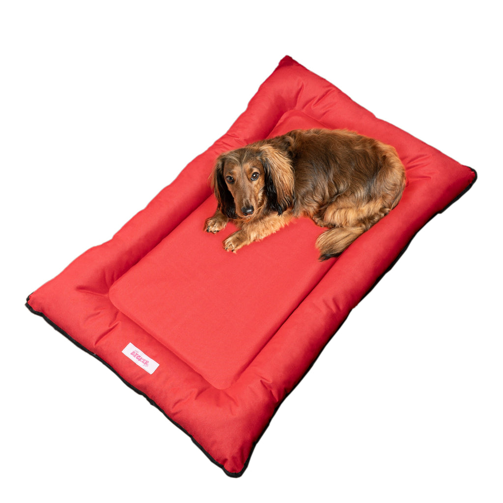 Lit pour animaux de compagnie Archie Traditional Oxford imperméable en mousse à mémoire de forme lavable à la main pour l'intérieur et l'extérieur