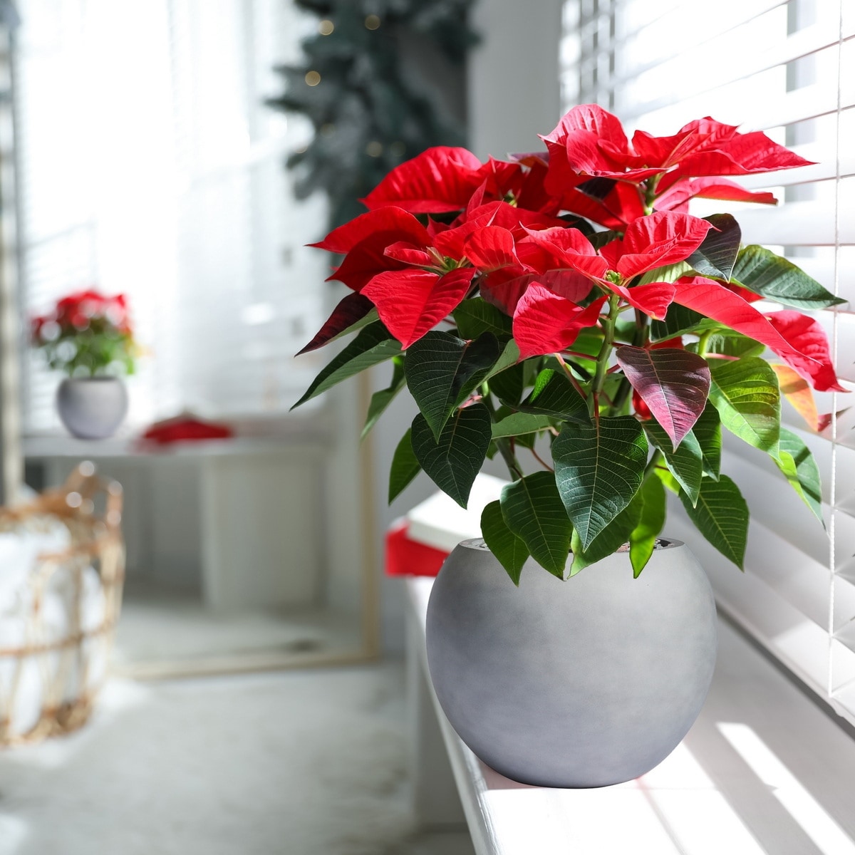 Jardinière sphérique moderne en fibre de pierre Riverside de DreamPatio pour intérieur/extérieur