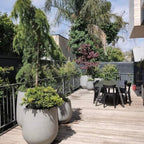 Jardinière conique en fibre de pierre DreamPatio La Mirada (1 pièce) pour intérieur/extérieur