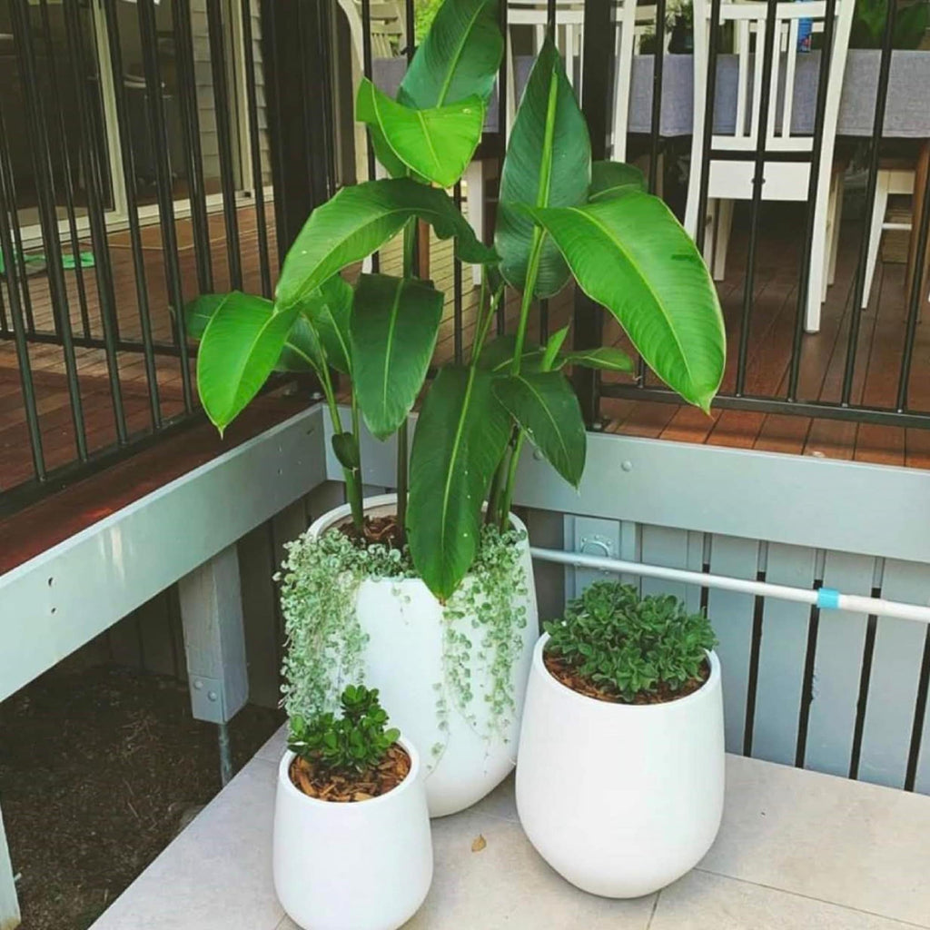 Jardinière conique en fibre de pierre DreamPatio La Mirada (1 pièce) pour intérieur/extérieur