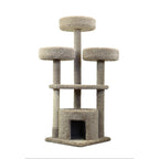 Nouveaux condos pour chats Grande maison pour chats